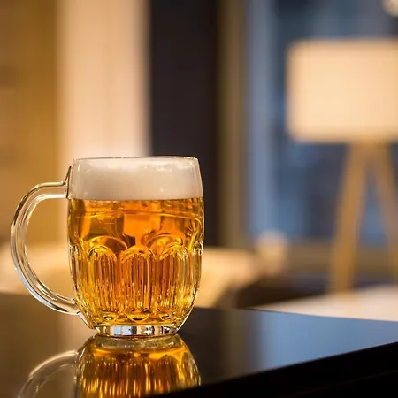 Grand מלון Čáslav